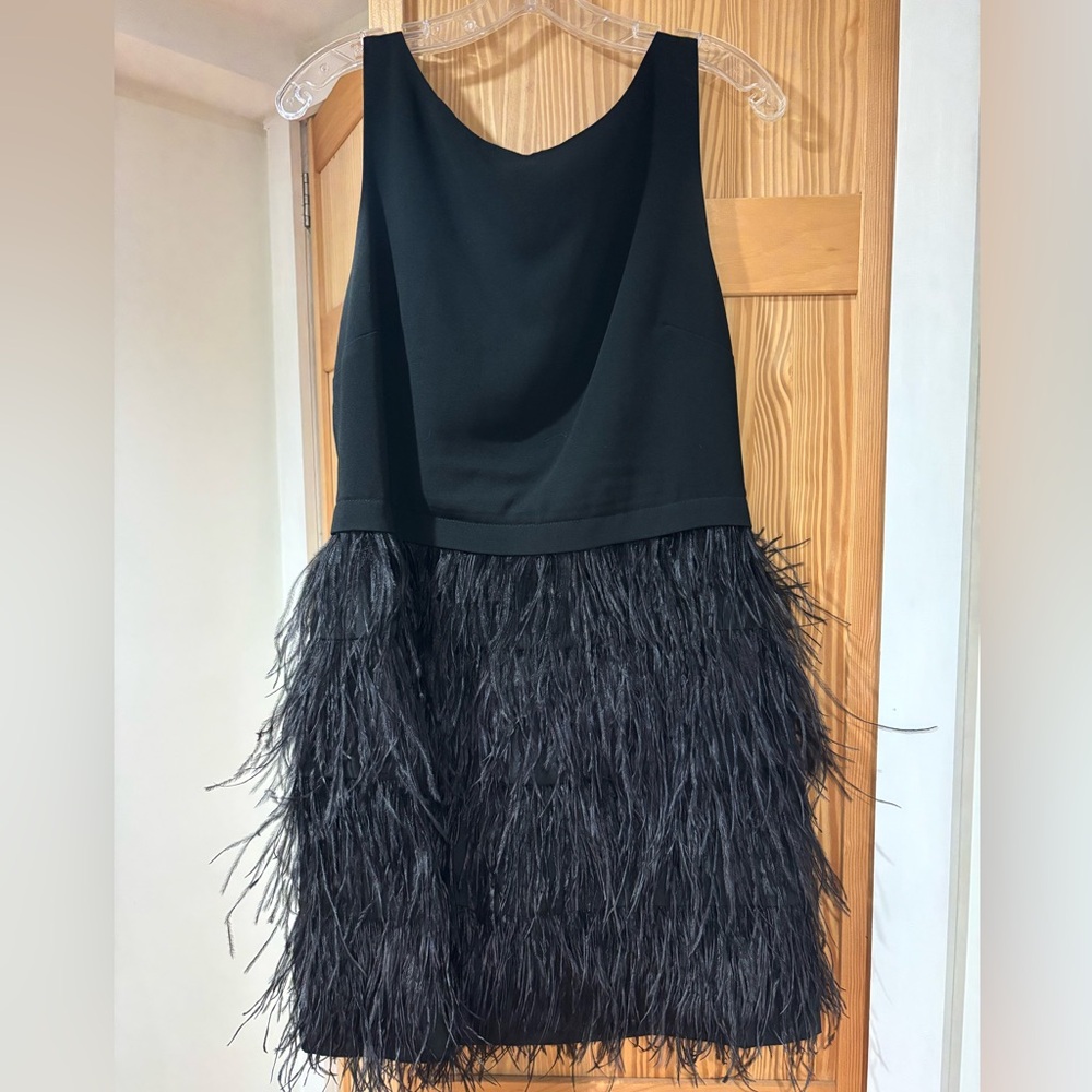 Club Monaco Mini Black Feather Dress